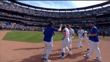 Celebrate Jesse Winker GIF by New York Mets
