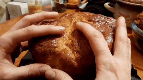 absurdcus giphyupload GIF