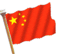 china year STICKER