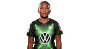 Sport Soccer Sticker by VfL Wolfsburg