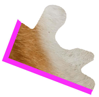 Puzzle Shiba Sticker