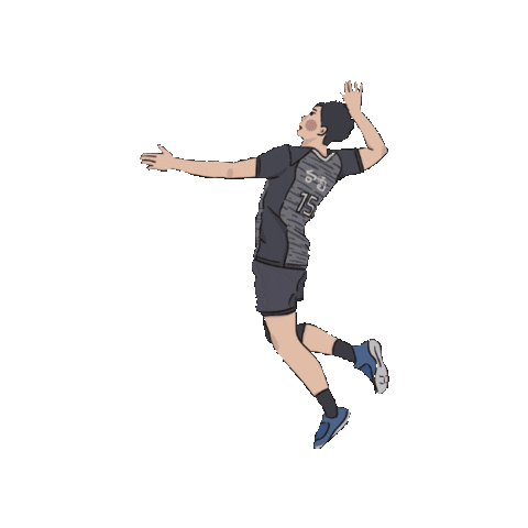chengchengzz giphygifmaker 排球 台電 台電男排 Sticker