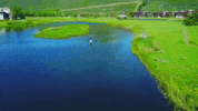 nicolebowdle paddle boarding deer valley summer utah water GIF
