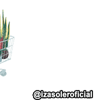 Flor Compras Sticker by Izasoler
