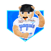 obregon Sticker by Yaquis de Obregón