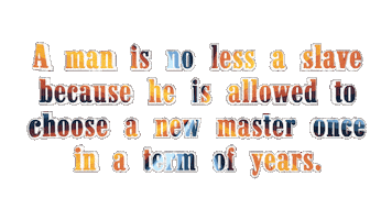 Politics Punk Sticker