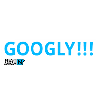 googly dhoni Sticker by Nestaway