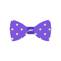 Pet Bow Sticker by James Delivery