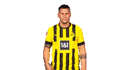 Suele Borussia Dortmund Sticker by Bundesliga