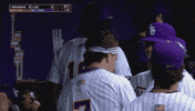 College Sports Dancing GIF by LSU Tigers