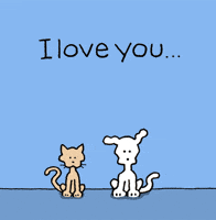 I Love You Cats GIF by Chippy the Dog