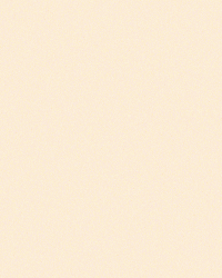 Amigos Mate GIF by Estudio Koi