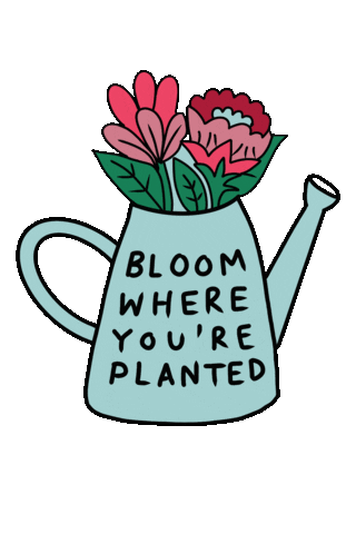 Dubai Bloom Sticker