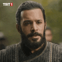 Trt1 Alparslan GIF by WASS Medya