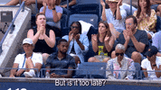 Us Open Tennis Sport GIF by US Open