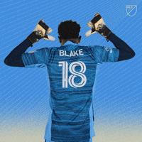 Philadelphia Union Football GIF by Major League Soccer