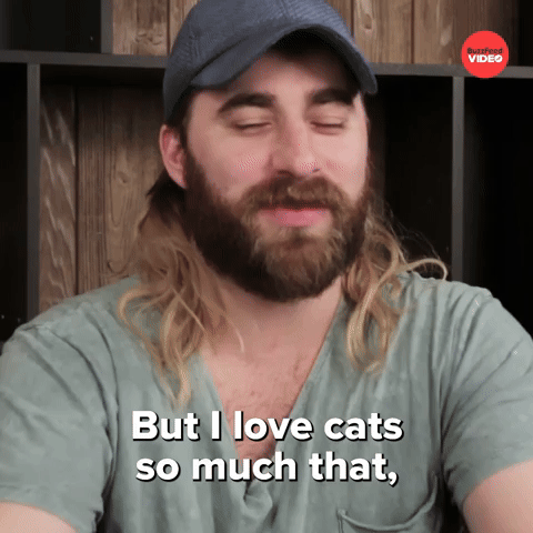 Cat Shit Storms