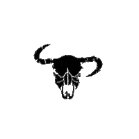 CchShop rodeo cch cuernoschuecos cuernoschuecosshop Sticker