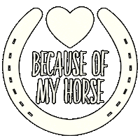 Horse Shoe Sticker by Saddle and Sage