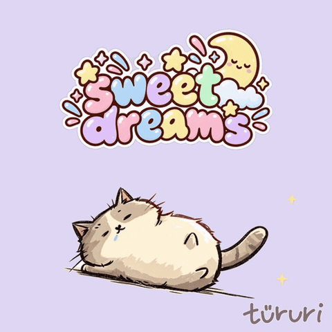 sleepy buddy - sweet dreams sleepy cat