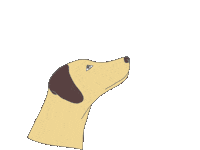 Dogs Hund Sticker by Lieblingshund Training