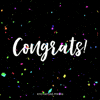 Happy Birthday Success GIF by Enchanted Studios
