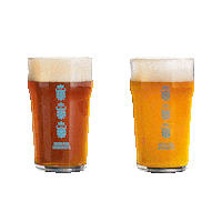 Pale Ale Beer Sticker by Varionica Craft Brewery