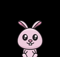 liquiderpoland bunny fresh stuff lqdr GIF