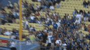 los angeles baseball GIF by MLB