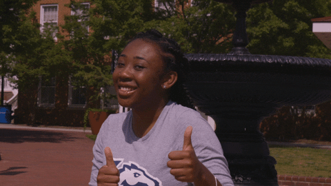 lu thumbs up GIF by Longwood University