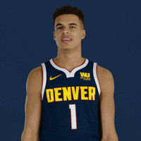 Denver Nuggets Smh GIF by NBA