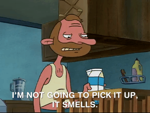 hey arnold nicksplat GIF