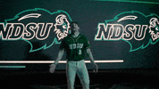 Ndsu Baseball GIF by NDSU Athletics