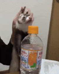 Angry Push GIF by Respective