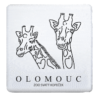 keramickeznamky zoo olomouc keramickeznamky keramicke magnetky Sticker