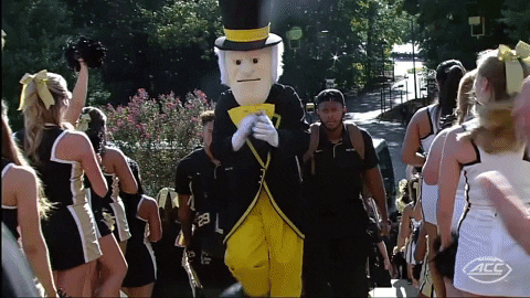 Accfootball Wakefootball GIF by The ACC