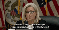 Liz Cheney GIF by GIPHY News
