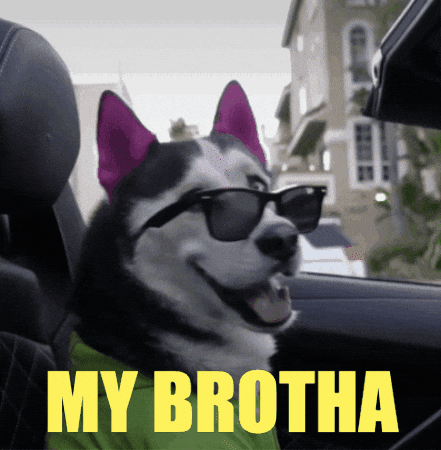 swagrman dog family bro brother GIF