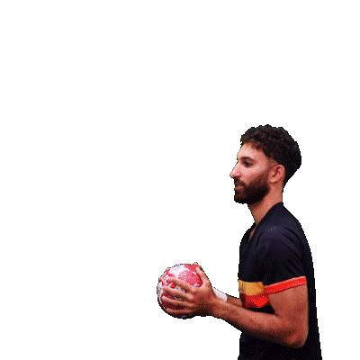 France Sport Sticker by PAUC Handball