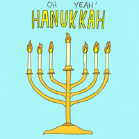 Sean Solomon Jewish GIF by Animation Domination High-Def