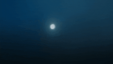 Drag Queen GIF by Database數據