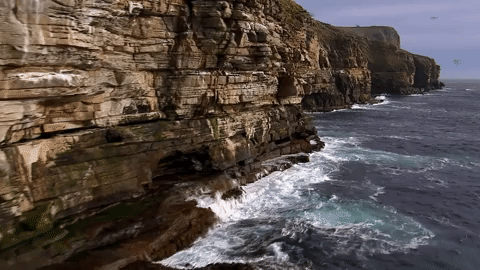 symphony for our world GIF by Nat Geo Wild 