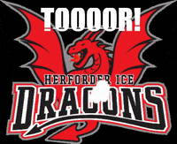 Ice Hockey GIF by Herforder EV