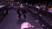Hat Thief GIF by Howdy Price