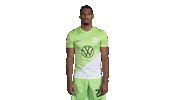 Happy Germany Sticker by VfL Wolfsburg