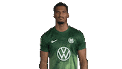 Germany Football Sticker by VfL Wolfsburg
