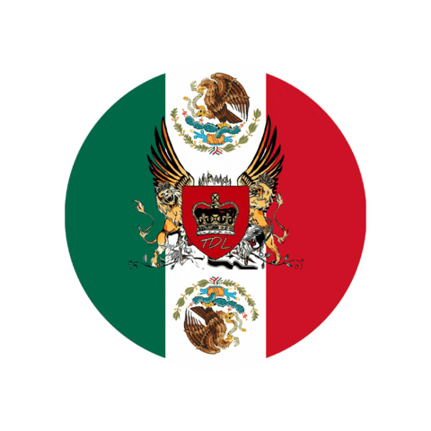 ChrisTDLMexico giphygifmaker team mexico international Sticker