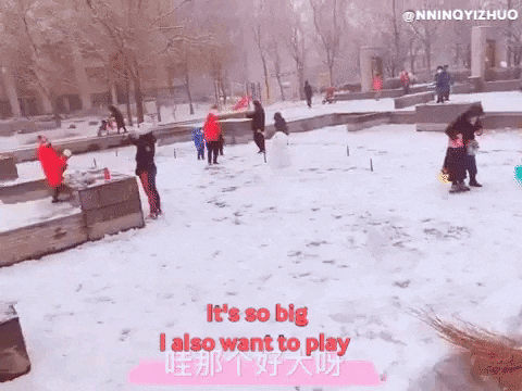 ningyizhuo giphygifmaker yiyang GIF