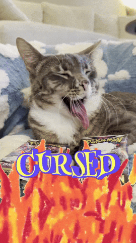 Cursed GIF