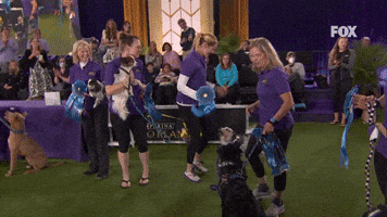 Westminster Dog Show Bee GIF by Westminster Kennel Club
